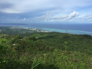 View from top of Mount Tapochao