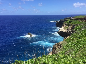 View at Banzai Cliff